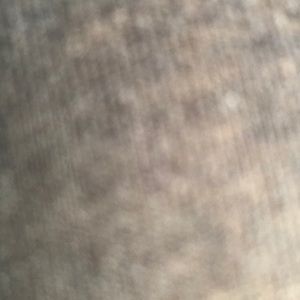 Meet your Posher, Jada